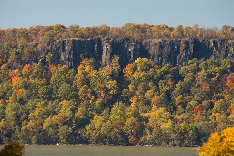 Green, red, yellow, and orange tree leaves, below cliffs