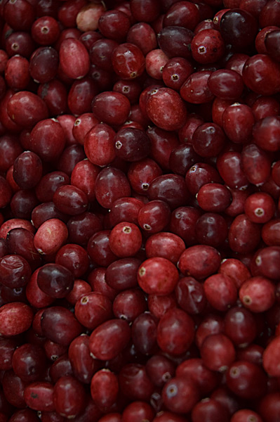 Many fresh cranberries